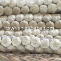 /msite/products/detail/productid/59942379/id/542998.html